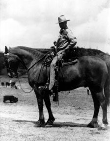 Preserving the Vaquero Tradition Ab_Bridle_Horse72 - Preserving the ...