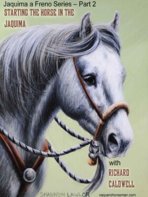 Starting the Horse in the Jaquima